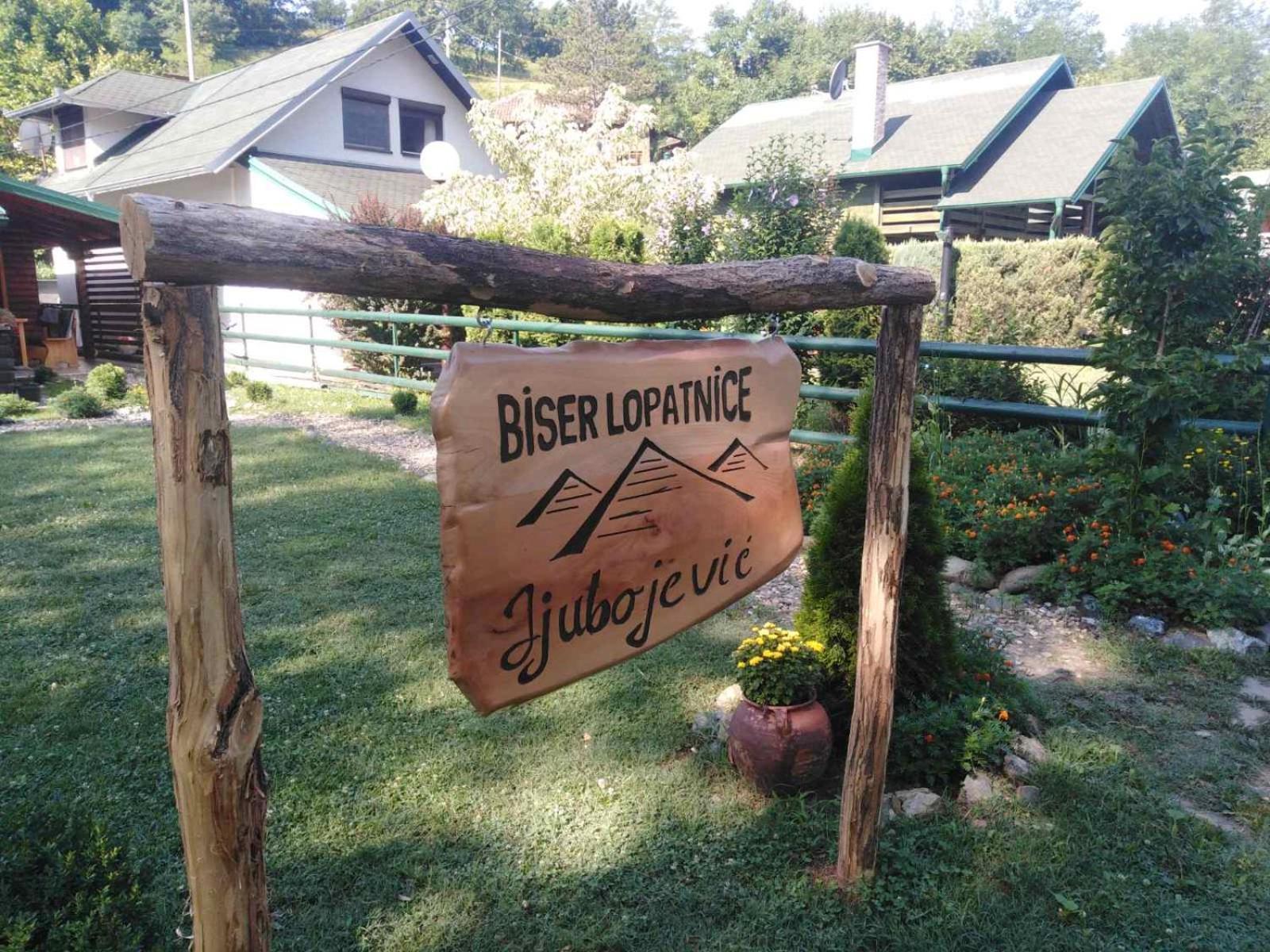 Holiday Homes Biser Lopatnice Lopatnica Екстер'єр фото